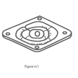 Vibration absorber